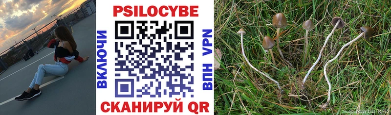 это Telegram  Благодарный  Псилоцибиновые грибы Psilocybine cubensis  наркошоп 