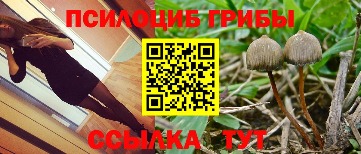 Благодарный  Галлюциногенные грибы GOLDEN TEACHER  Вход с VPN  Псилоцибиновые грибы прущие грибы 